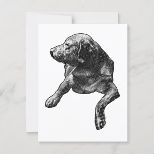 Quick Hello with Fine Dots Postcard