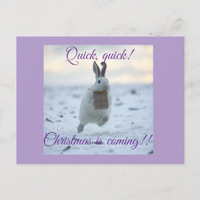 Quick, quick Christmas is coming! Holiday Postcard (Front)