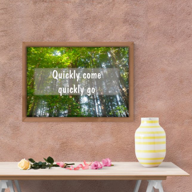 Quickly come quickly go encouragement  poster (Creator Uploaded)