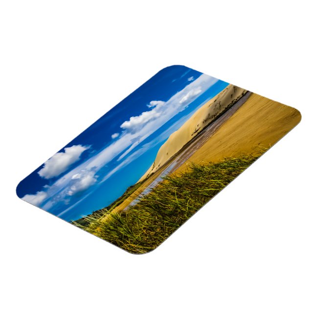 Quicksand stream near 90-Mile Beach, New Zealand Magnet (Left Side)