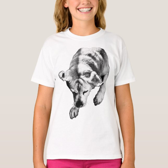 Quiet Arc – Overhead Labrador T-Shirt (Front)