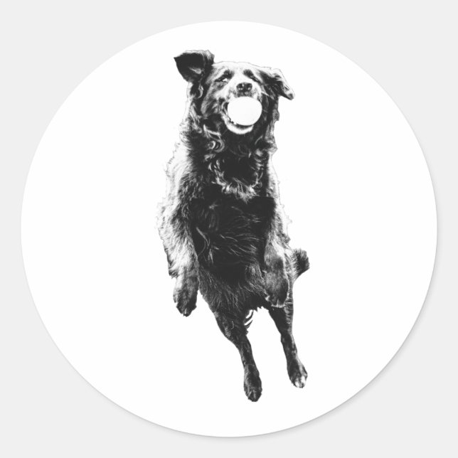 Quiet ball carry classic round sticker (Front)