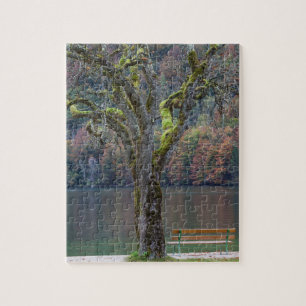 Quiet bench along a lake, Germany Jigsaw Puzzle