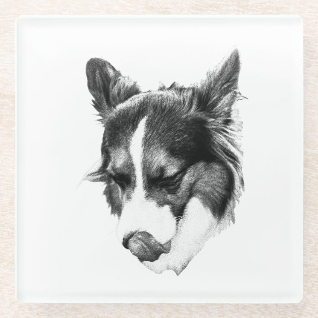 Quiet Canine Expression Glass Coaster (Front)