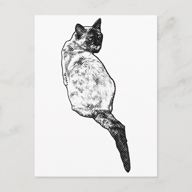 Quiet Cat, Soft Greetings Postcard (Front)