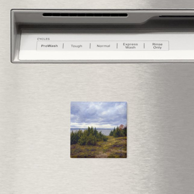 Quiet Coast of Vormsi Magnet (In Situ (Dishwasher))