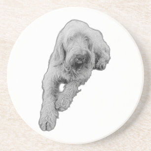 Quiet Companion Coaster
