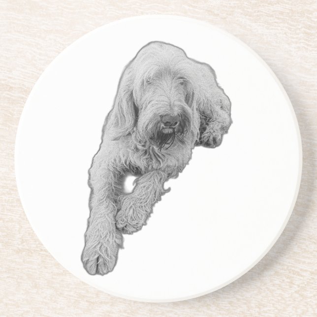 Quiet Companion Coaster (Front)