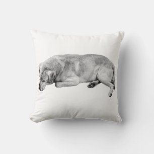 Quiet Corner, Whole Home Calm Cushion