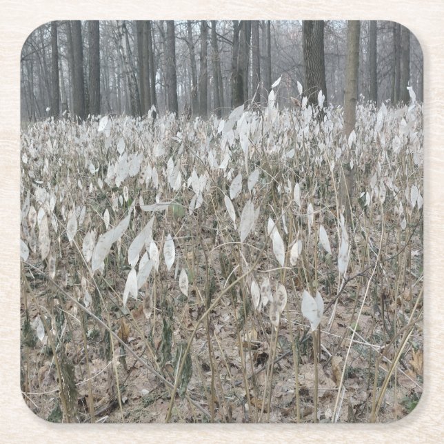 Quiet Forest Silence Square Paper Coaster (Front)