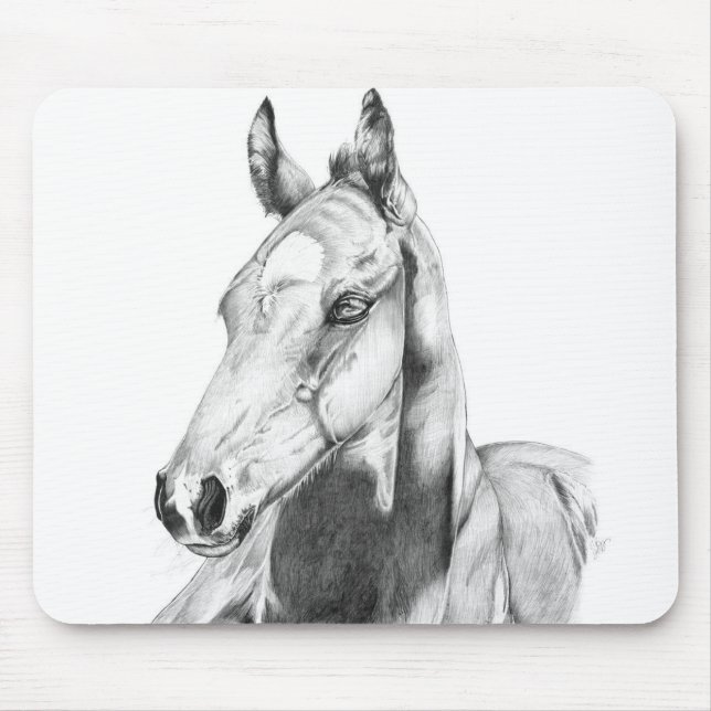 Quiet Gaze Mouse Mat (Front)