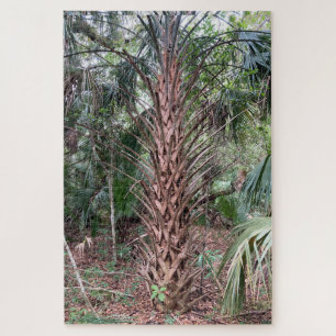 Quiet Giant - Palm Tree Puzzle Anastasia Island