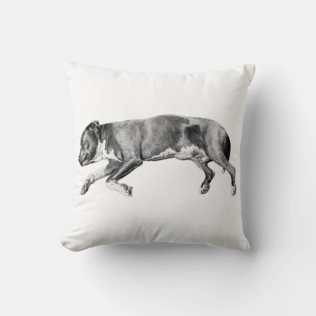 Quiet Grace – Slumbering Hound Portrait Cushion (Front)