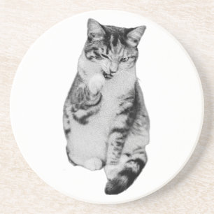 Quiet Groom Coaster