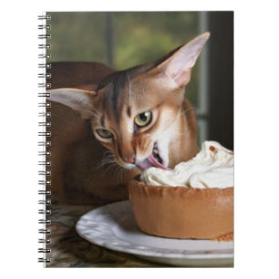 Quiet Indulgence – Elegant Cat Notebook