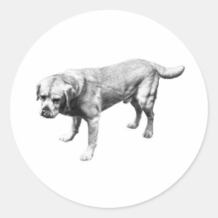 Quiet Lines of Loyalty Classic Round Sticker