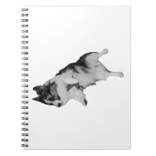 Quiet Notes Notebook
