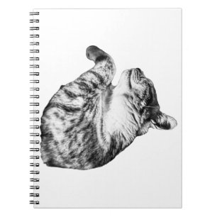 Quiet Pages, Warm Paws Notebook