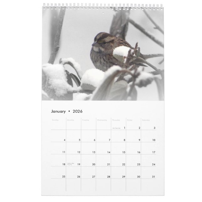 Quiet Place 2011 Calendar (Jan 2026)
