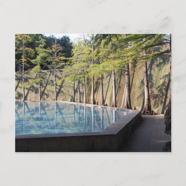 Quiet Pool - Fort Worth Water Garden # 8 Postcard (Front)