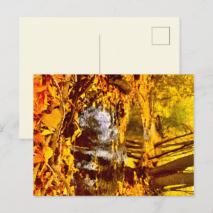 Quiet Reflection Postcard