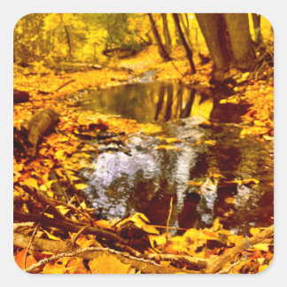 Quiet Reflection Square Sticker