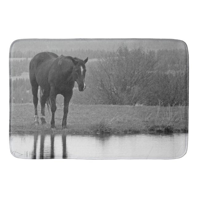 Quiet Reflectionz ~ Horse Bathmat (Front)