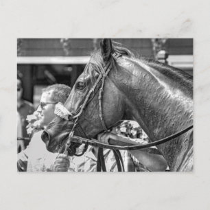 Quiet Ruler Postcard