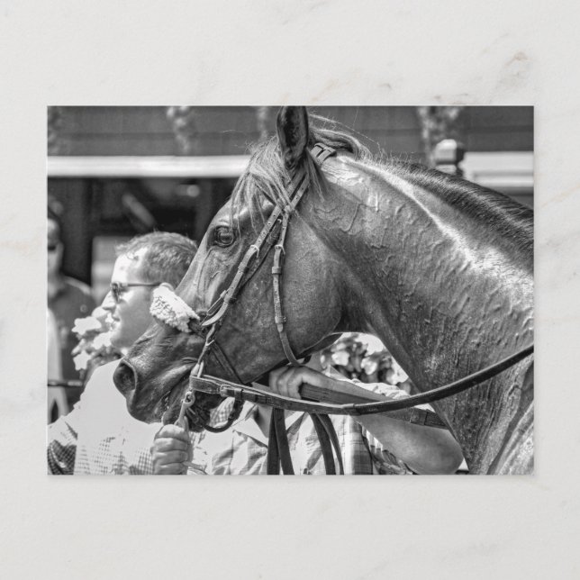 Quiet Ruler Postcard (Front)