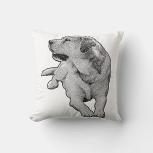 Quiet Sofa, Warm Eyes Cushion