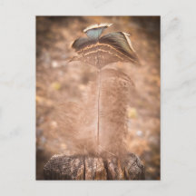 Quiet Summer Moment | Sacramento Nature