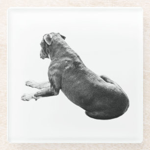 Quiet Table Companion Glass Coaster