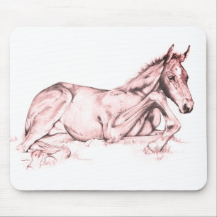 Quiet Time (salmon) Mouse Mat