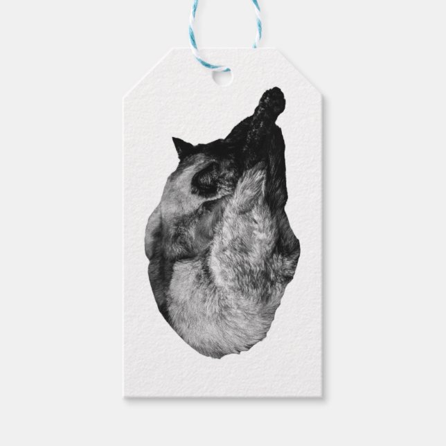 quiet winter drape gift tags (Front)