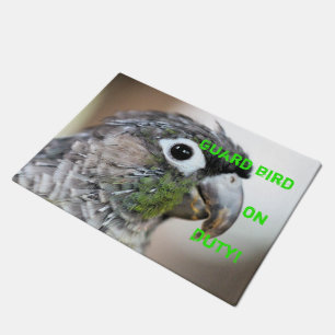 Quill city doormat