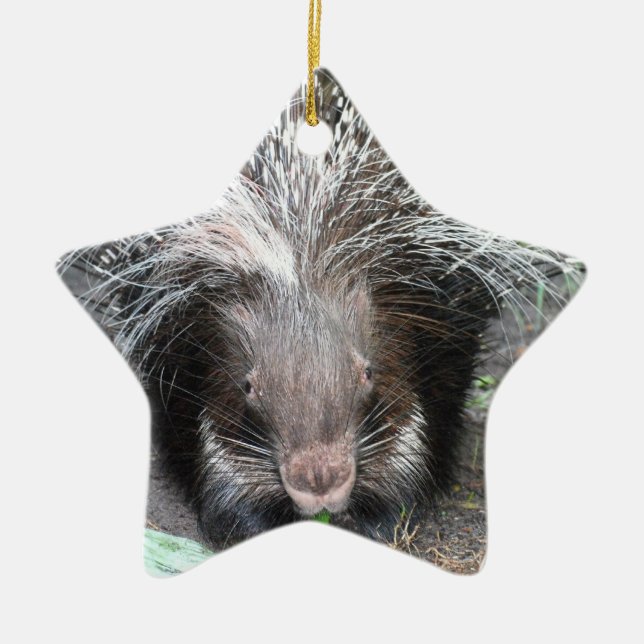 Quilled Porcupine  Ornament (Front)