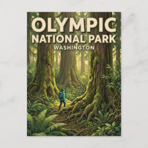 Quinault Rain Forest Amanda Park Washington Postcard