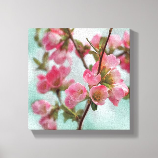 Quince Blossoms Canvas Print (Front)