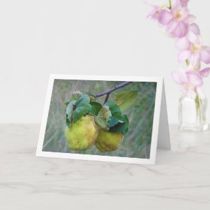 Quince Fruit Card