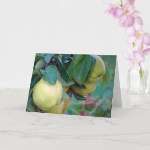 Quince Fruit Card