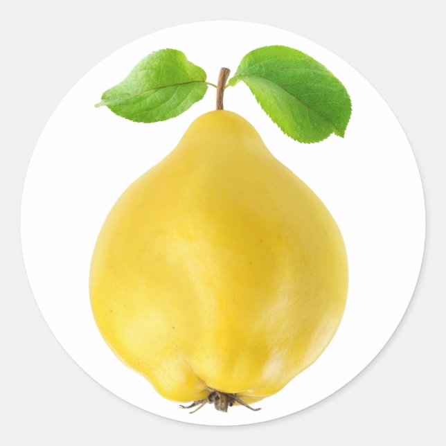 Quince fruit classic round sticker (Front)