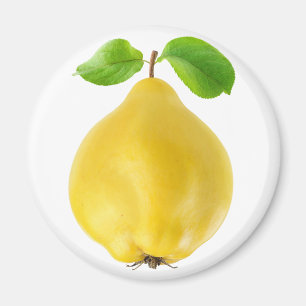 Quince fruit magnet
