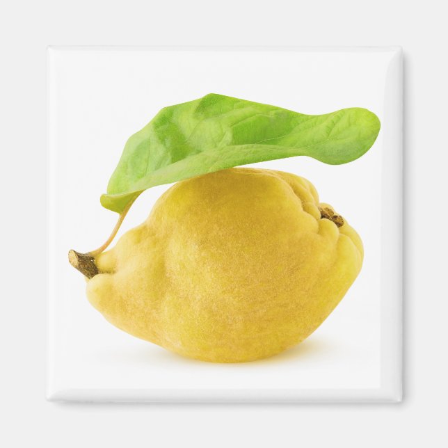 Quince fruit magnet (Front)