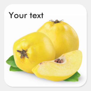 Quince fruits square sticker