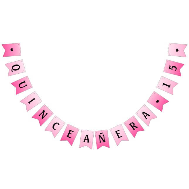 quinceanera party banner (All)