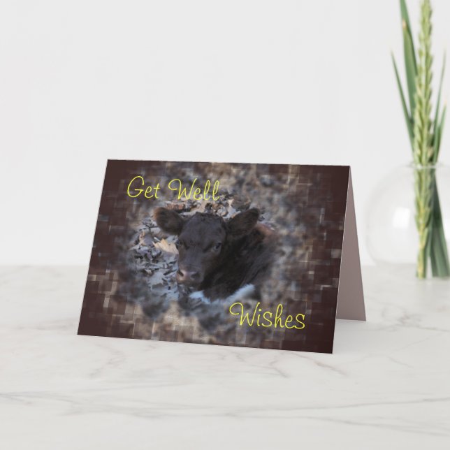 Quincy Pinzgauer Calf 5896- make any occasion Card (Front)