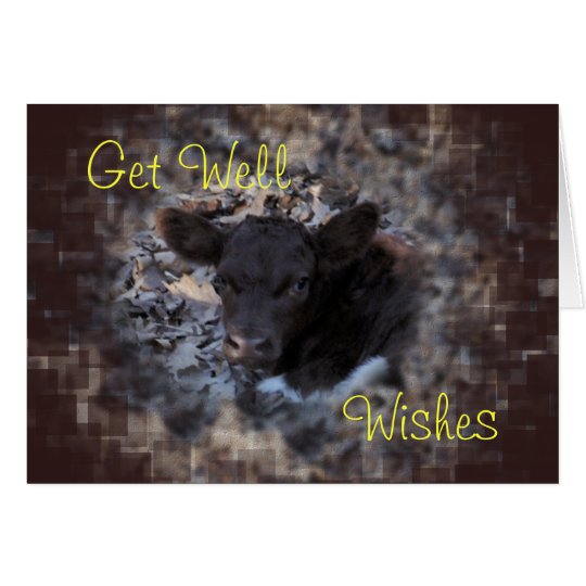 Quincy Pinzgauer Calf 5896- make any occasion Card