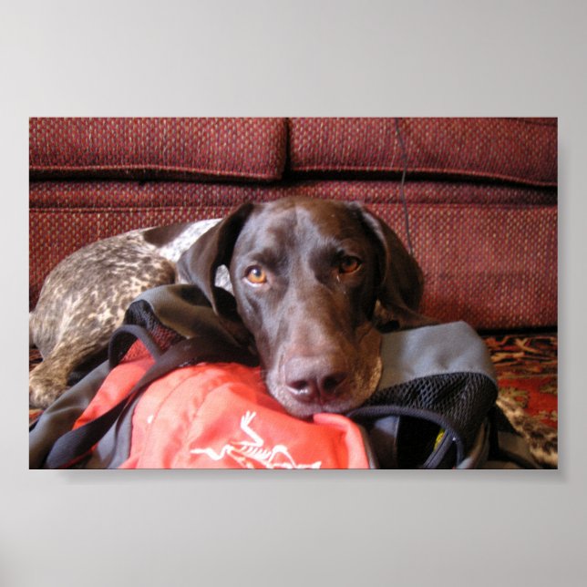 quincy poster (Front)