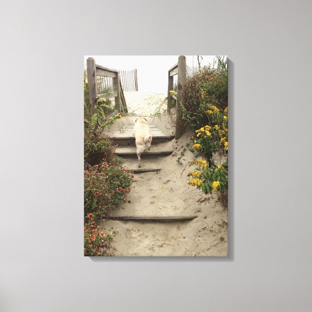 Quinn at the Beach Canvas Print (Front)