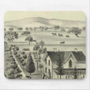 Quinn residence mouse mat
